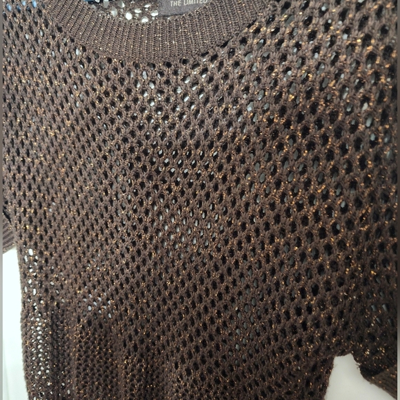 👸👕🧣 The Limited Crochet Cutout/Overlay Pullover Sweater in size XS - Picture 5 of 10